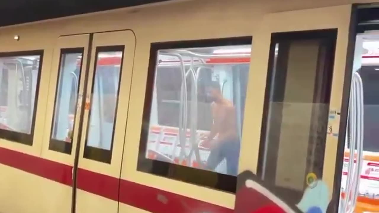 Rome is a jungle without rules.