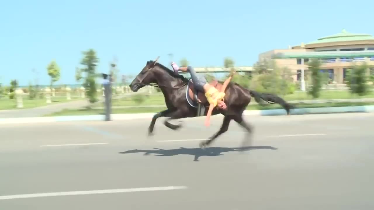 Amazing Little Girl Riding a Black Arabian Horse