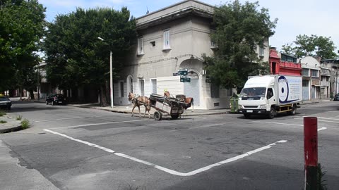Scrap Collector on Horse Buggy - Aguada, Montevideo, Uruguay