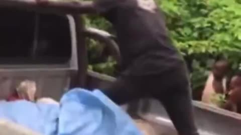 Saying ni66ers are dumb is redundant.