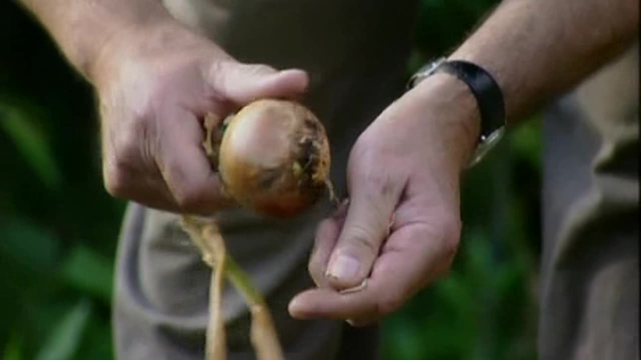 ancestors live in us