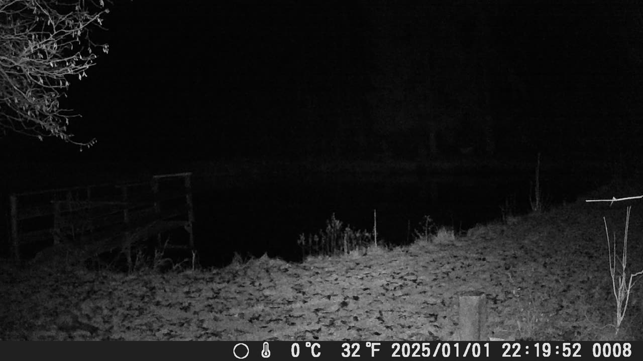 01012025Marder