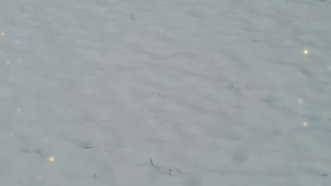 Short snow video
