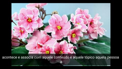 66-quot-ichigo-kurosaki-quot-grace-experience-new-version-3_(PT-BR)