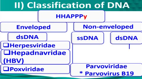 7 Epstein Barr virus & Cytomegalovirus