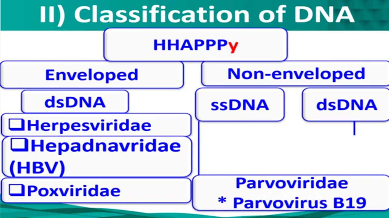 7 Epstein Barr virus & Cytomegalovirus
