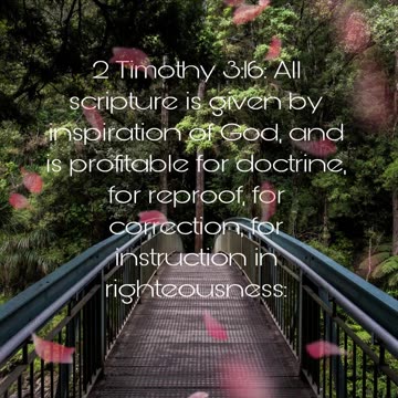 2 Timothy 3 :16 #scripture #bible #verse #verseoftheday #inspiration #shorts