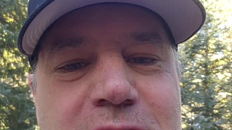 Bullshit on the Bondi Beach Shooting