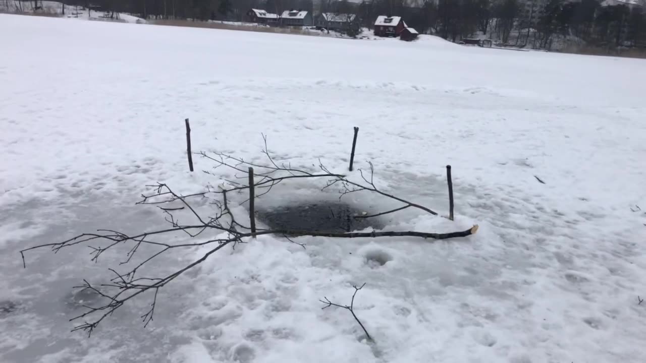 Today's ice bath in a frozen lake❄️