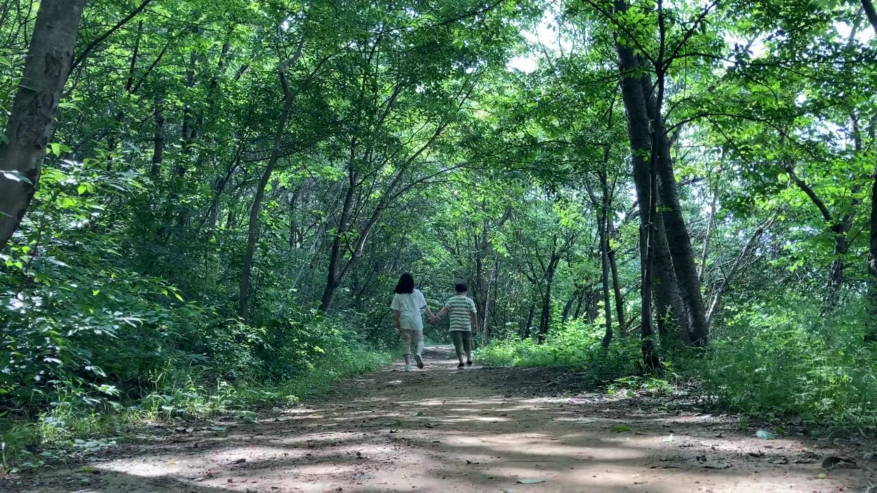 "The person who says it cannot be done should not interrupt the person who is doing it."