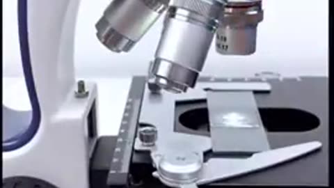 Rainwater under the microscope