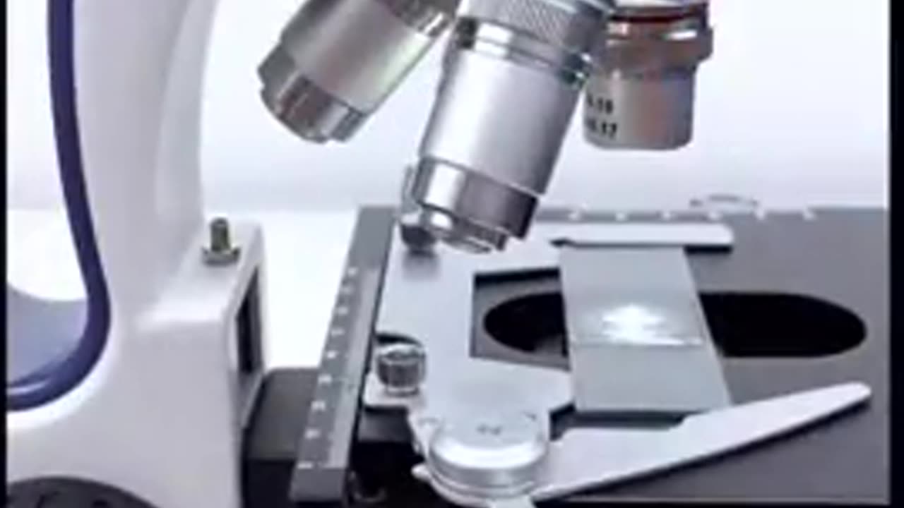 Rainwater under the microscope