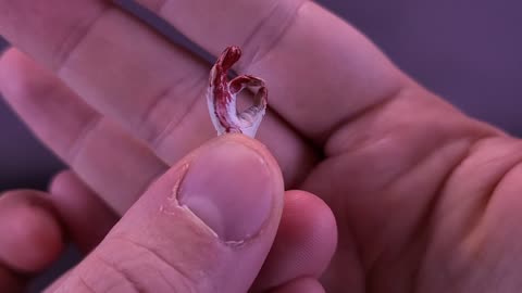 NECA Terrifier Ultimate Art The Clown Blood Soaked Walmart Exclusive Figure Review