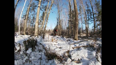 Winter Cut 2025 part II