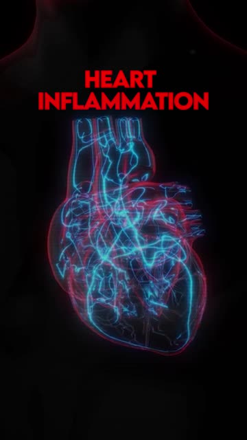 The Alarming Decline of Testosterone in Men and Women #testosterone #lowt
