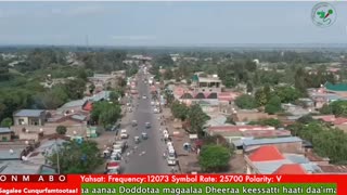 Oduu Ganama ONM-ABO Sadaasa 21-2025 itti dhiyaadhaa!