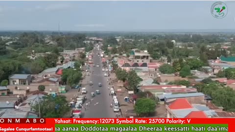 Oduu Ganama ONM-ABO Sadaasa 21-2025 itti dhiyaadhaa!