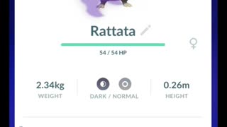 Pokémon GO-Purifying Shadow Alolan Rattata