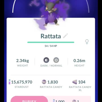 Pokémon GO-Purifying Shadow Alolan Rattata