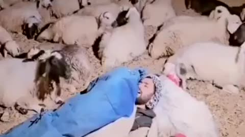 i'm pretty sure he is happier than most of us.. 🥹