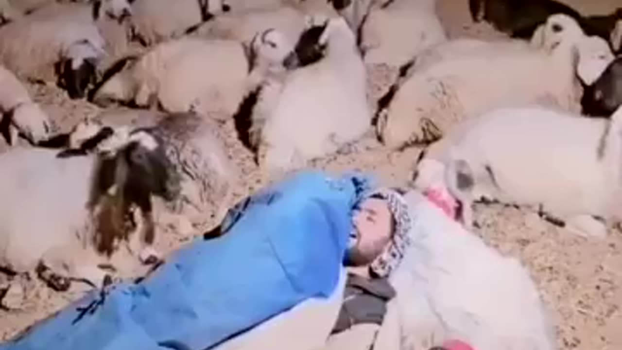 i'm pretty sure he is happier than most of us.. 🥹