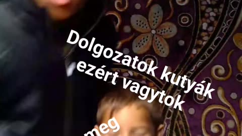 Fideszes integrálási program sikerének a kabalái 2