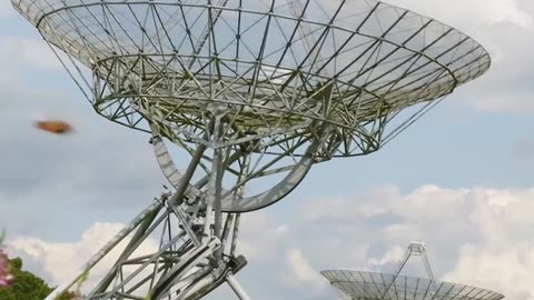 Daily Horoscope | Scorpio 🌟