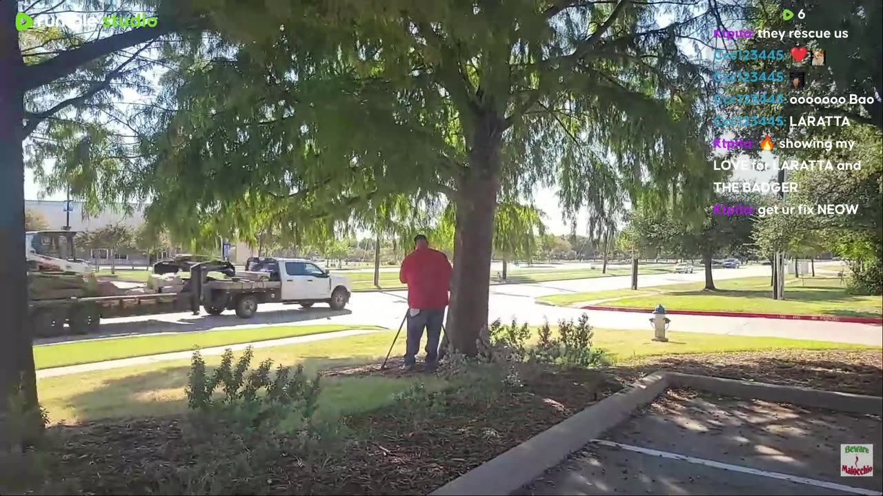 The Saga of Caveman Continues