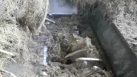 Pre Shredder: The Powerhouse for Primary Size Reduction