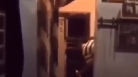 😨👻 Skinwalker Sighting? You Won't Believe Your Eyes! | TheHauntingHour