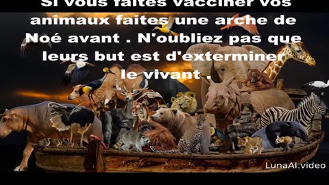 Si vous faites vacciner vos animaux, faites une arche de Noé avant !
