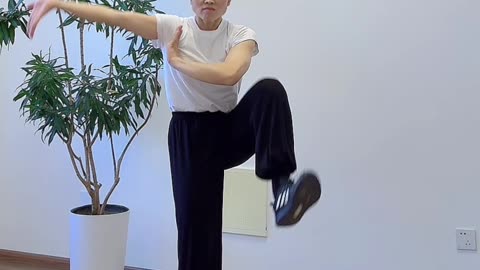 1162.太極者 無極也