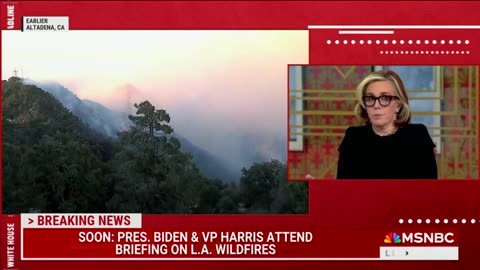 Molly Jong-Fast Blames Climate Change For LA Wildfires