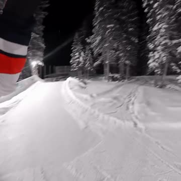 Love All Life Always #38 - Human's have incredible creativity and determination!