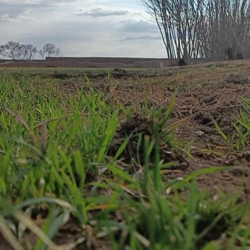 Rain in Sunny Skies – A Unique Blend of Light and Raindrops