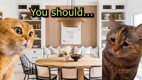 What does a Cat do when his Girlfriend is Angry (Ep.57)