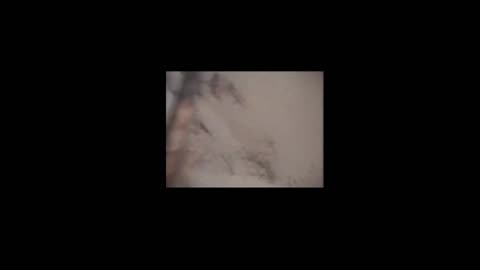 Salvador Dali painting the ceiling of his museum in Figueres (1972-1973)