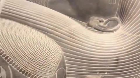 The new Grand Egyptian Museum was unveiled and it’s MIND BLOWING