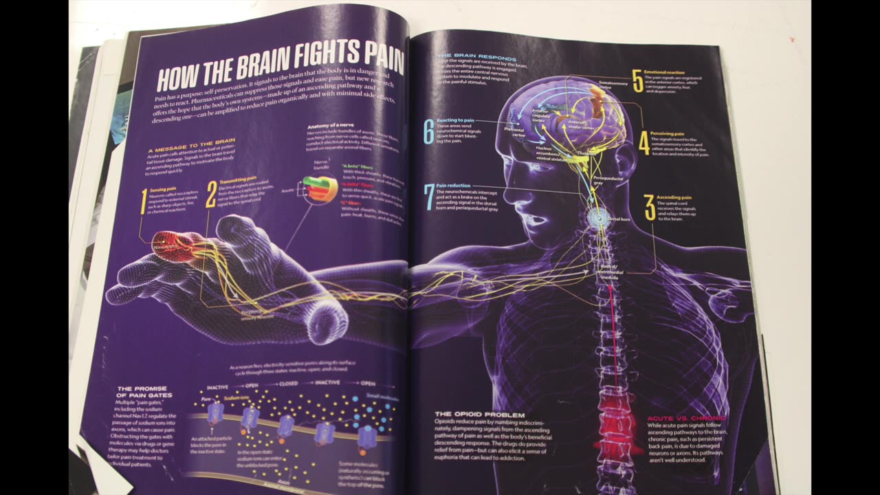 YIKES! National Geographic Jan 2020 issue! LOOK WHAT I FOUND.. Predictive Prog. ZERO JUSTICE for US!