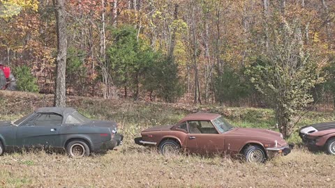 Mauckport Indiana Tractor Parade 2025