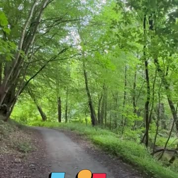 😊 212 NO ERES VÍCTIMA DE LAS CIRCUNSTANCIAS 😊