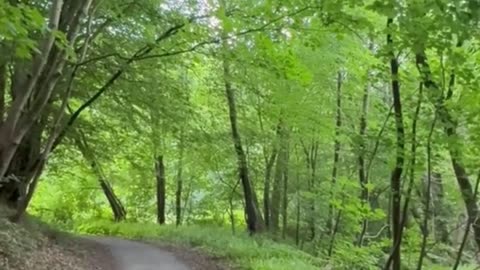 😊 212 NO ERES VÍCTIMA DE LAS CIRCUNSTANCIAS 😊