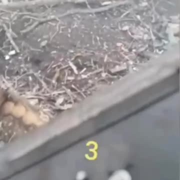 18+ Assault on Ukrainian Positions in the Krasnolimansk Area