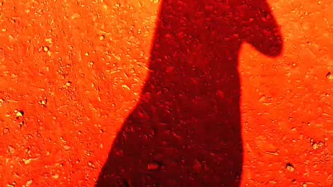 My walking shadow slow motion video 2025 skc.com 86