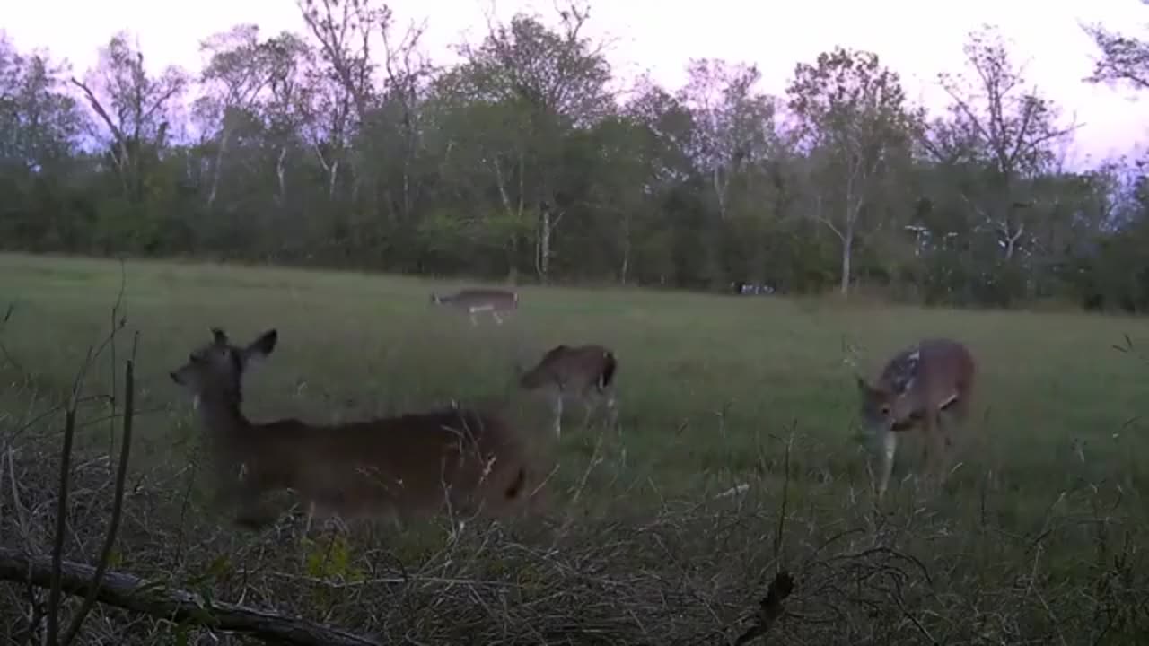 30-06 vs Ballistic Gel - 200 YARD TEST - CHARLIE KIRK SHOT CLAIMS TESTED FOR THE GULLIBLE SHEEP.
