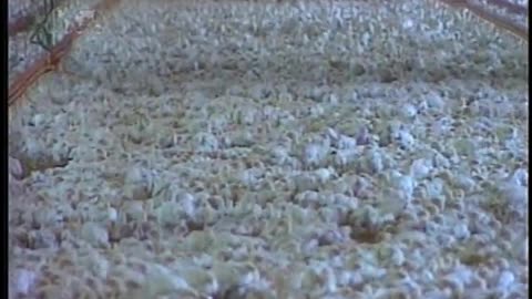 USA WORLDNET September 10, 2001 930pm-1000pm EDT