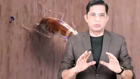 Animals can change life or destroy life