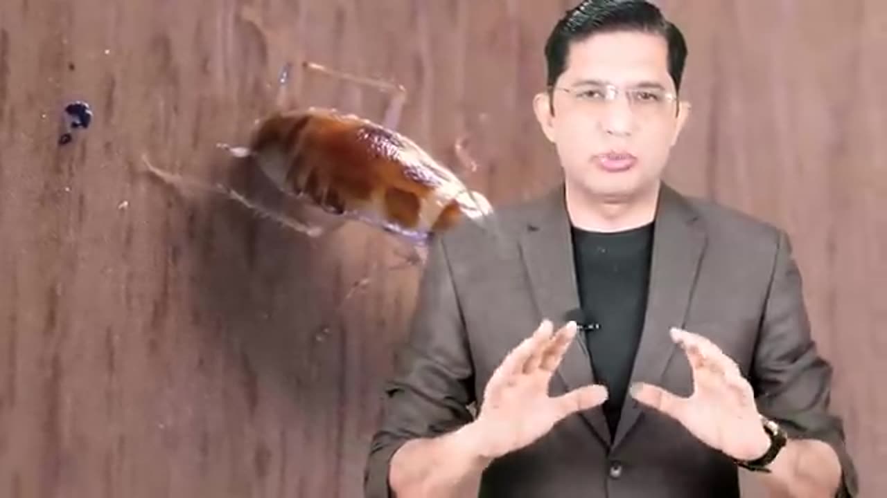 Animals can change life or destroy life