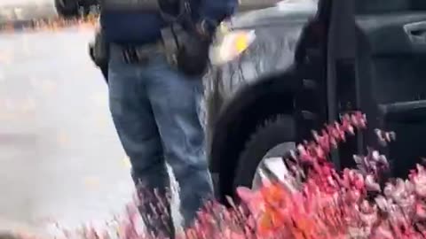 ICE having fun with diversity