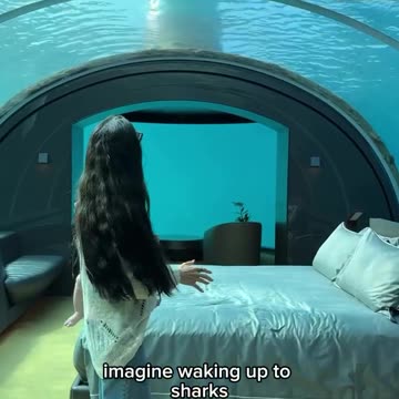 Shall we enjoy the atmosphere of an underwater room? 🥹😮